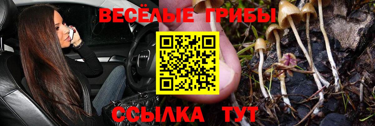 Псилоцибиновые грибы GOLDEN TEACHER Урай