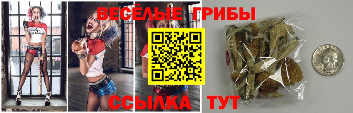 Псилоцибиновые грибы GOLDEN TEACHER  Вход с VPN  Урай 